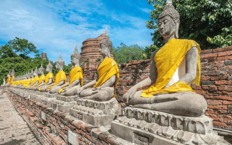 Hình ảnh hành trình